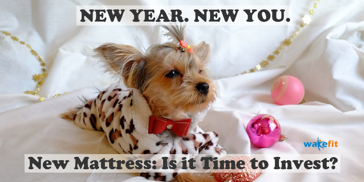new-year-new-mattress-new you