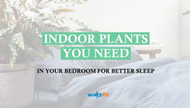 indoor-plants-for-sleep