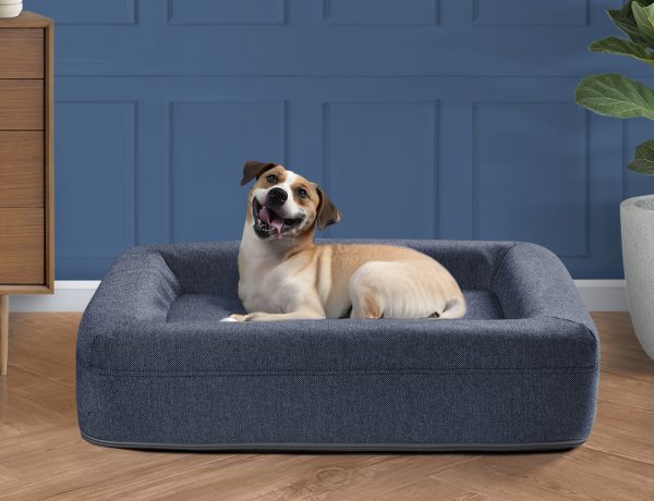 Pet Beds
