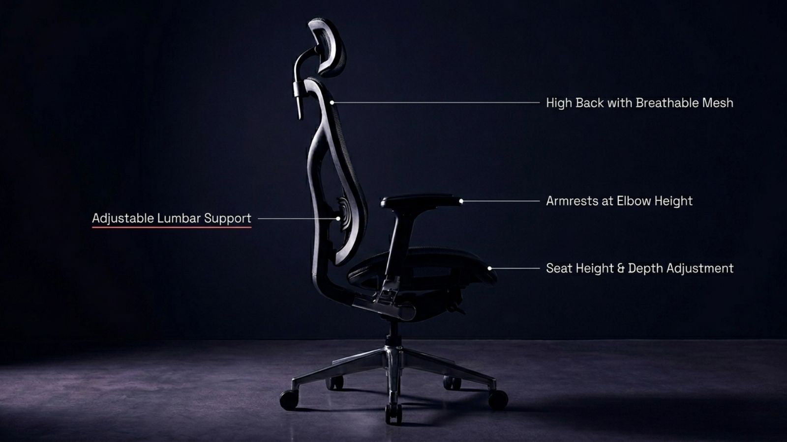 Which Is the Best Chair for Back Pain? A Guide for People Who Sit Long Hours